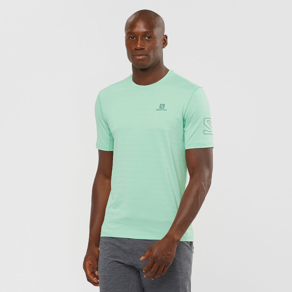 SALOMON OUTLINE Philippines - Men's Tee Shirt - Blue | 735806-RIU